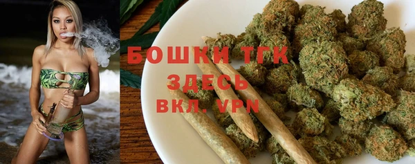 сатива Вязники