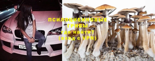 не бодяженный Вяземский