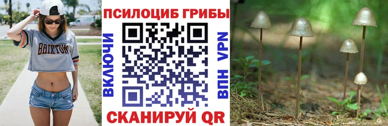 Галлюциногенные грибы Cubensis  что такое наркотик  Волчанск 